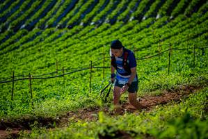 BIB: 
                            <button type="button" onclick="openModal(19161279)" class="btn btn-primary btn-sm float-right btn-popup" data-toggle="modal" data-target=".modal-high-quality">
                        <i class="fas fa-shopping-cart"></i> Add to Cart
                    </button>
                                            <button type="button" onclick="isThisMe(19161279, true)" class="btn btn-success btn-sm float-right btn-popup btn-isme hidden" data-toggle="tooltip" data-placement="bottom" title="นี่คือรูปของคุณใช่ไหม คลิกที่นี่เพื่อเอาเข้าอัลบั้ม">
                        <i class="fas fa-plus"></i> Add to album
                    </button>
                    <button type="button" onclick="isThisMe(19161279, false)" class="btn btn-warning btn-sm float-right btn-popup btn-isnotme hidden">
                        <i class="fas fa-ban"></i> Remove from album
                    </button>